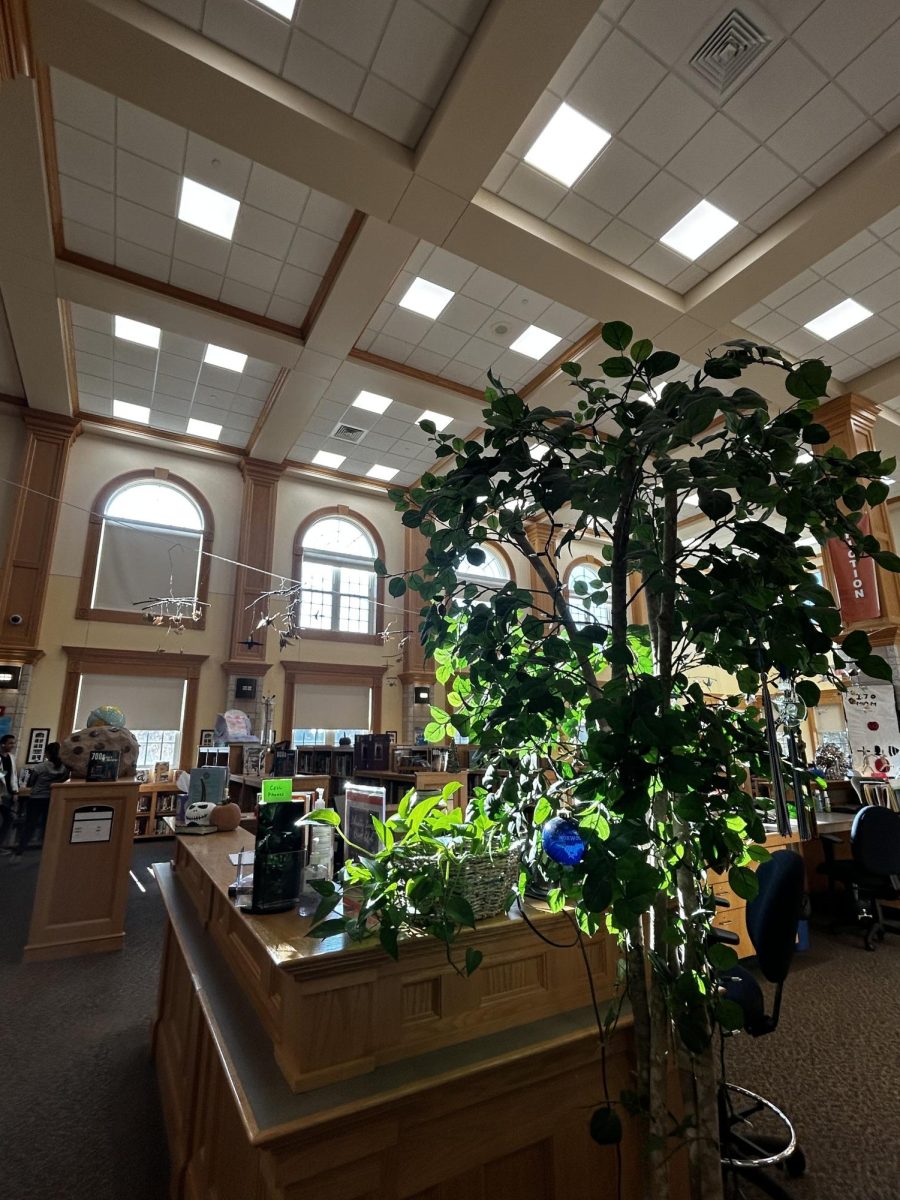 The windows inside of the NHS allow for a lot of light to filter in and illuminate the library.