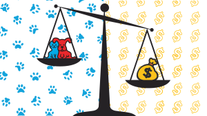 Thinking Pet-Smart: Are Major Pet Stores Ethical?