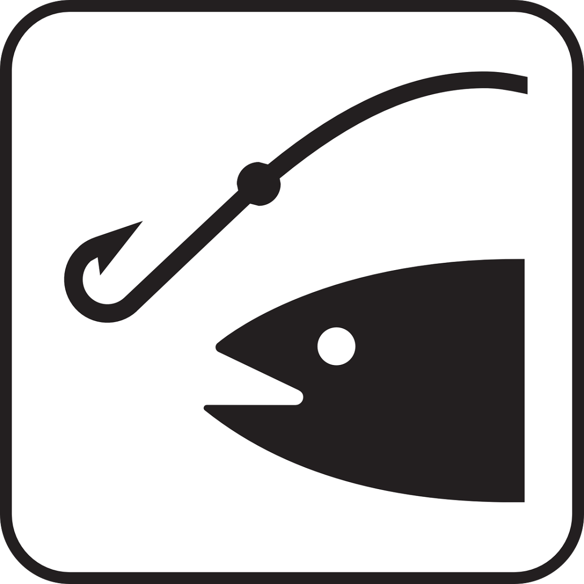 Fishing Derby