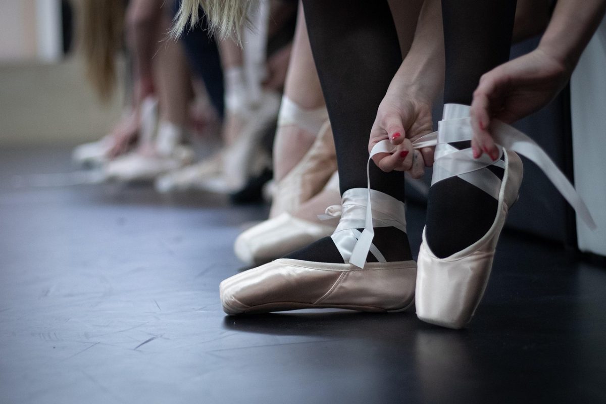 Image by Astrid Schaffner