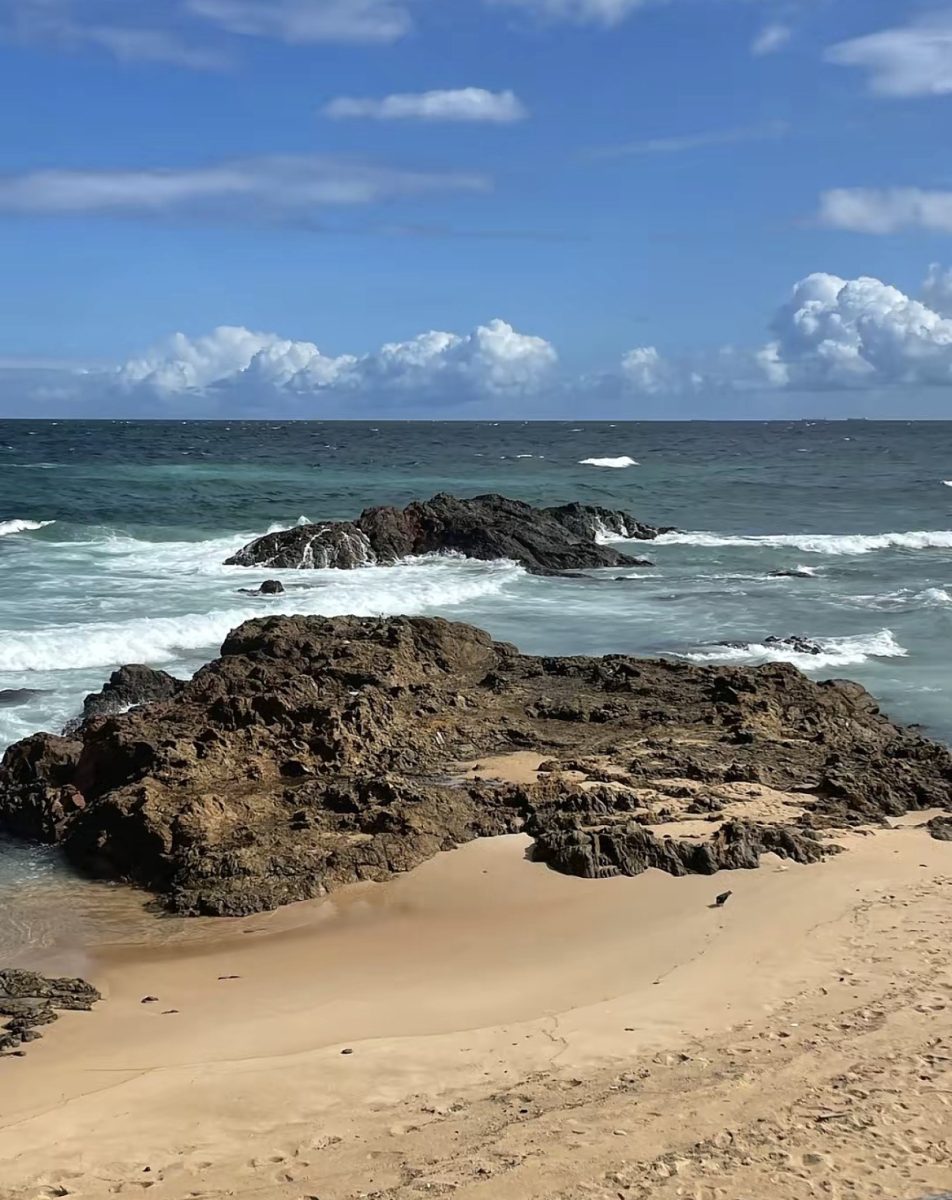 A beautiful beach located in Salvador, Bahia in Brazil.