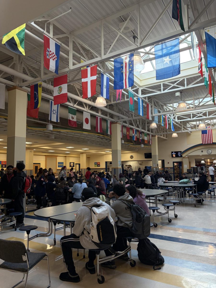 The flags hanging in the NHS lunchroom  celebrate the various cultures and the many different countries students come from.
