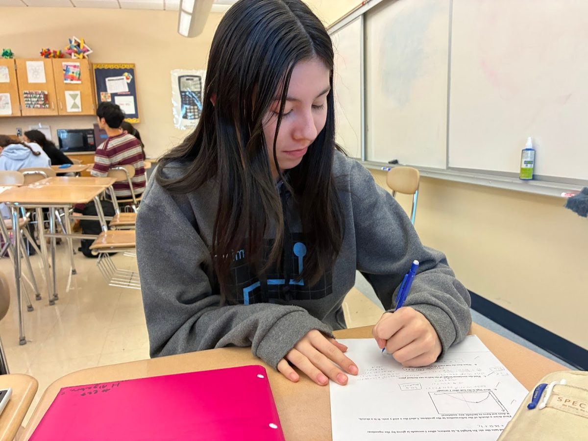 Sophomore Abby Gorman doing her work in Math class last period 
