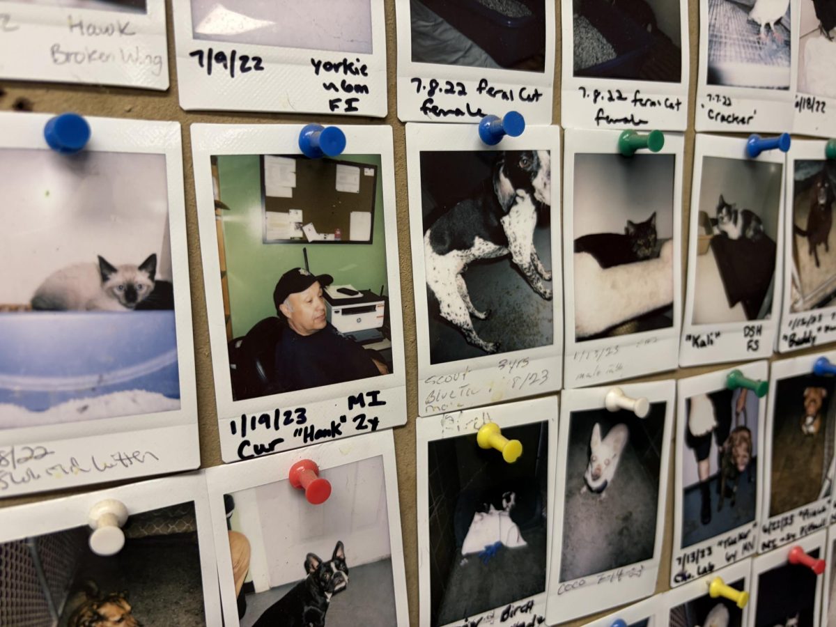 One peculiar addition to the wall of furry friends that have found homes is Hank, the previous Animal Control Officer.