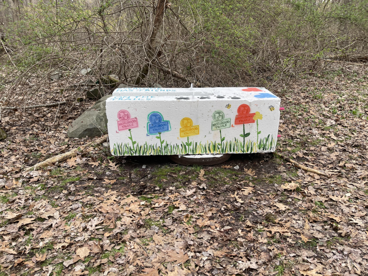 A fully finished and painted cement block done by volunteers at the Earth Week Block Painting Event