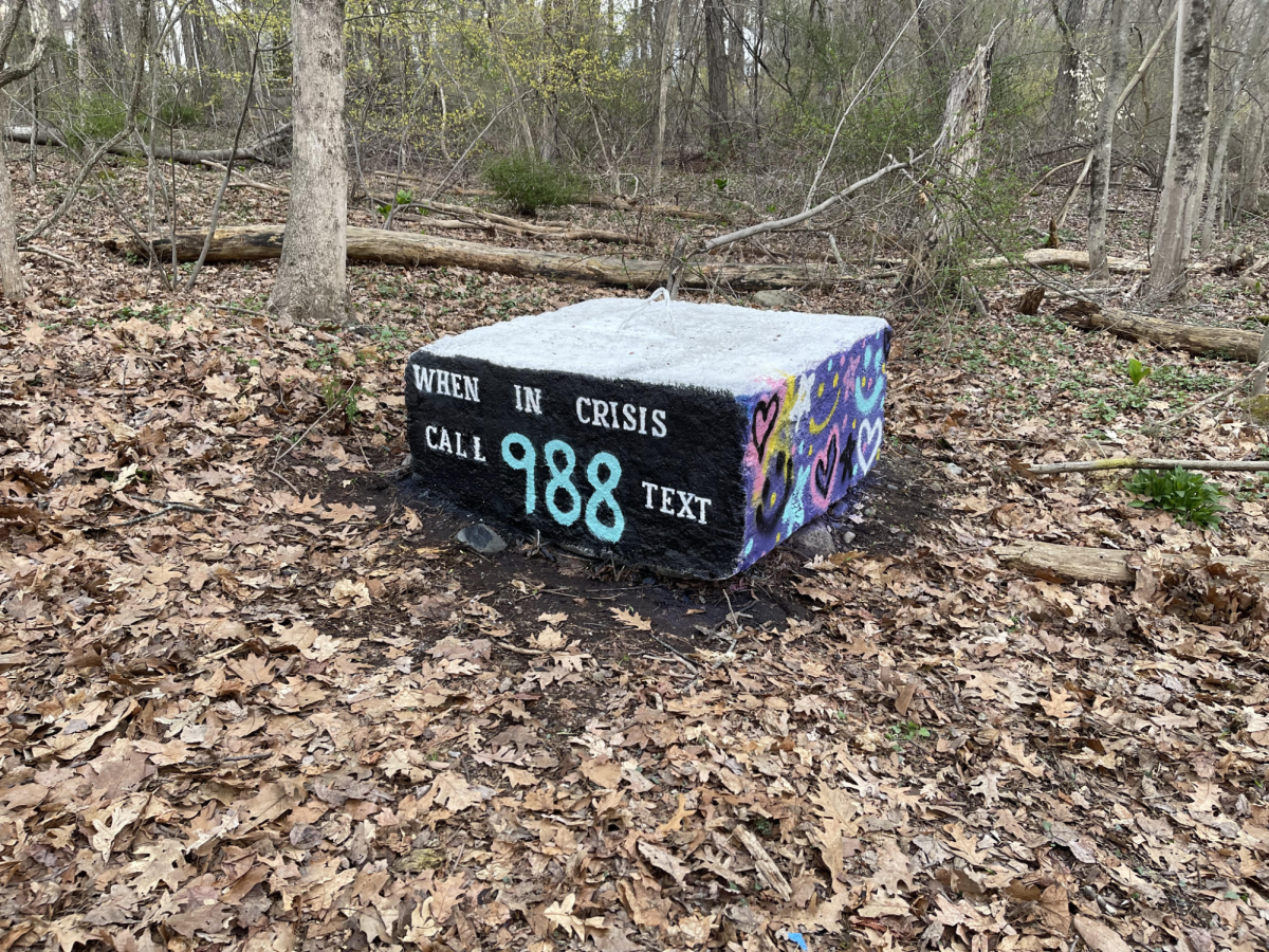 A fully finished and painted cement block done by volunteers at the Earth Week Block Painting Event