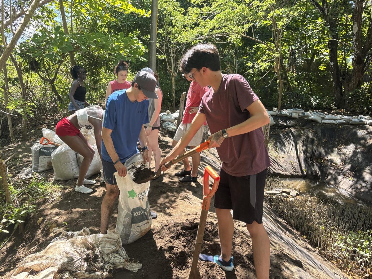NHS Spanish performs community service in their conservation activity