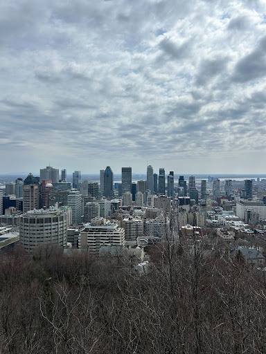 unnamed - 2026-05-07T093808.745