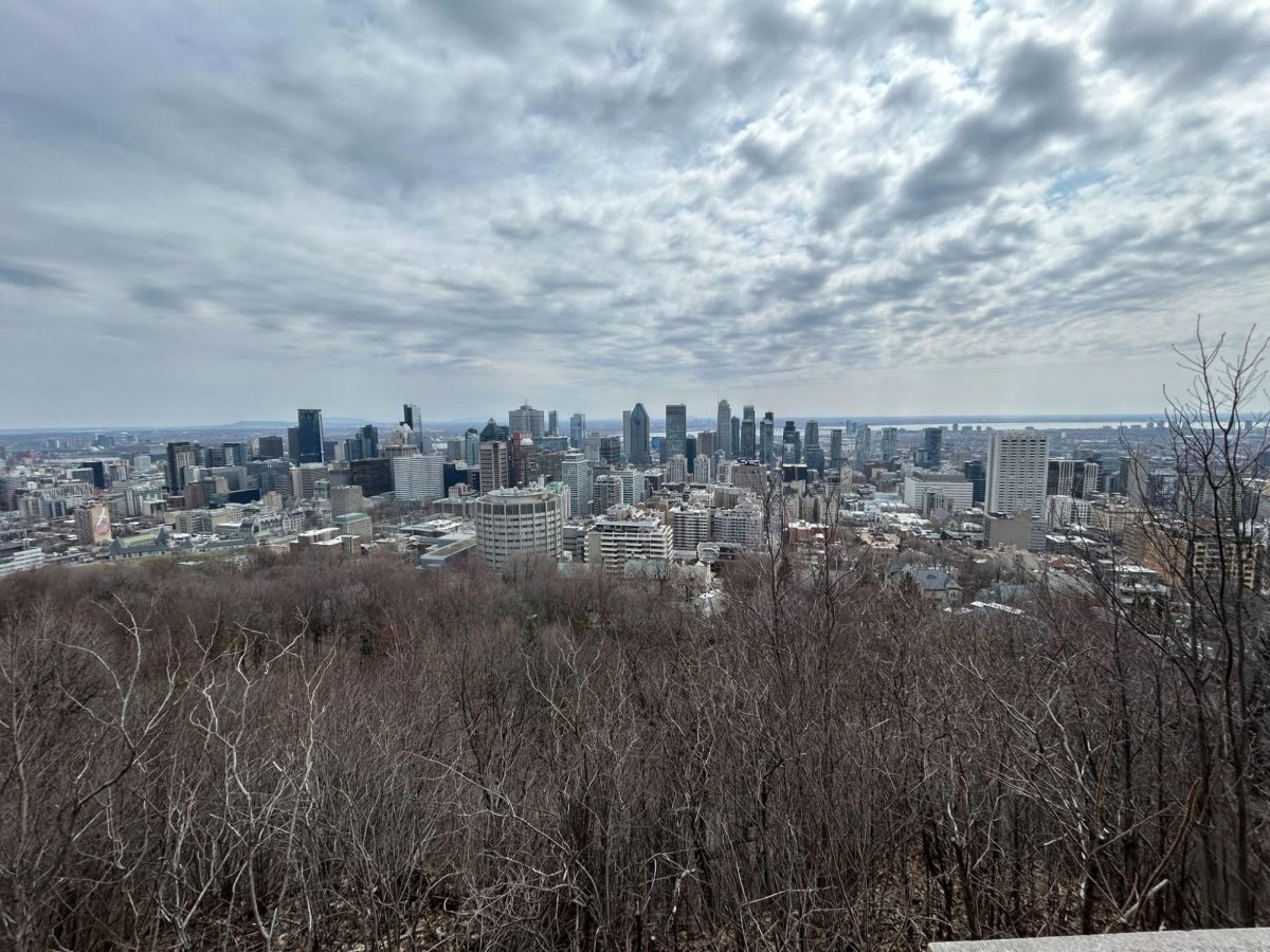 The beautiful cityscape of Montreal, as seen from above.