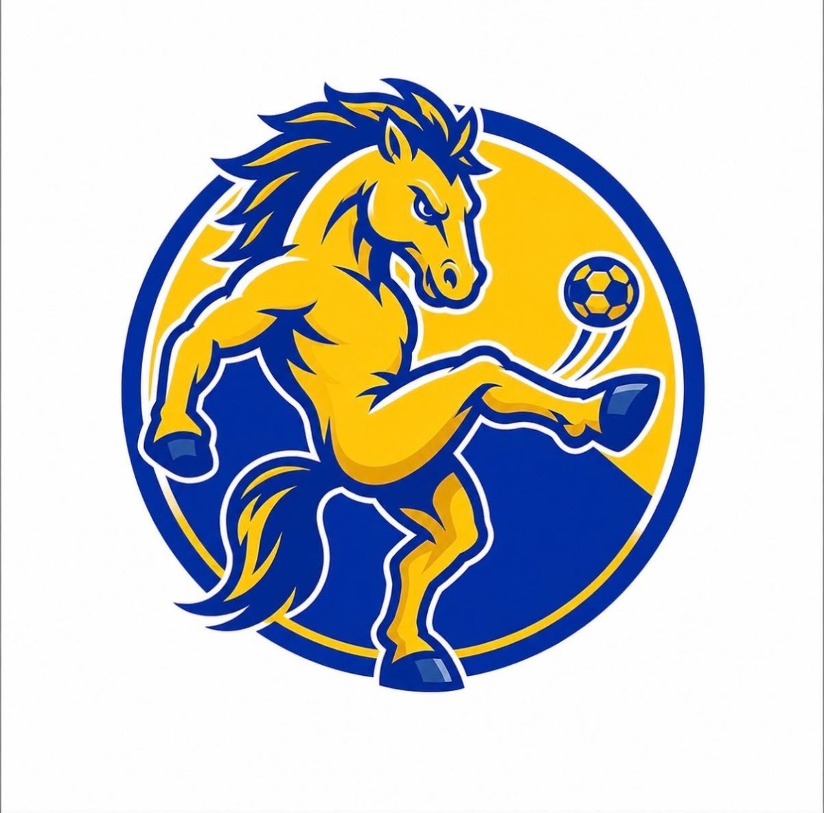 The official Norwood Boys Sack Logo
